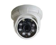 TWG-D2026